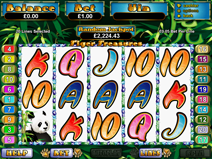 Tiger Treasures Slots